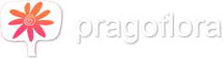 Pragoflora Logo